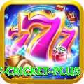 willow cricket - Slots VIP
