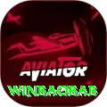 winbaobab Turbo v4.8.4