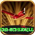 world cup t20 schedule Gold Edition v2.3.0
